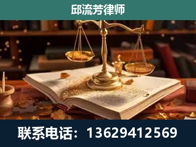 维西-新型网络犯罪