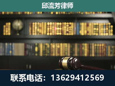 维西-经济类案件